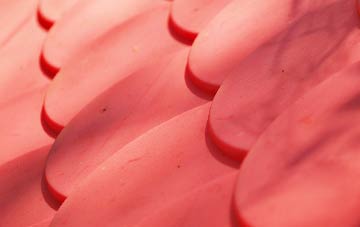 Salt plastic roof costs