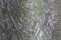 Salt fibreglass roof work